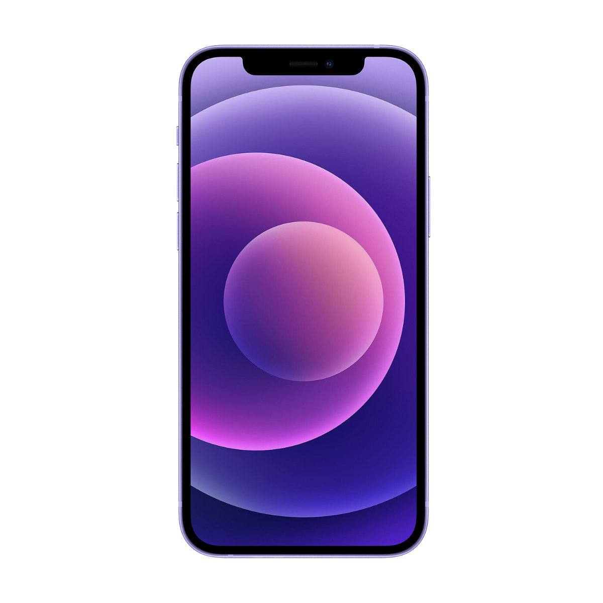 iPhone 12 Violet - Reconditionné