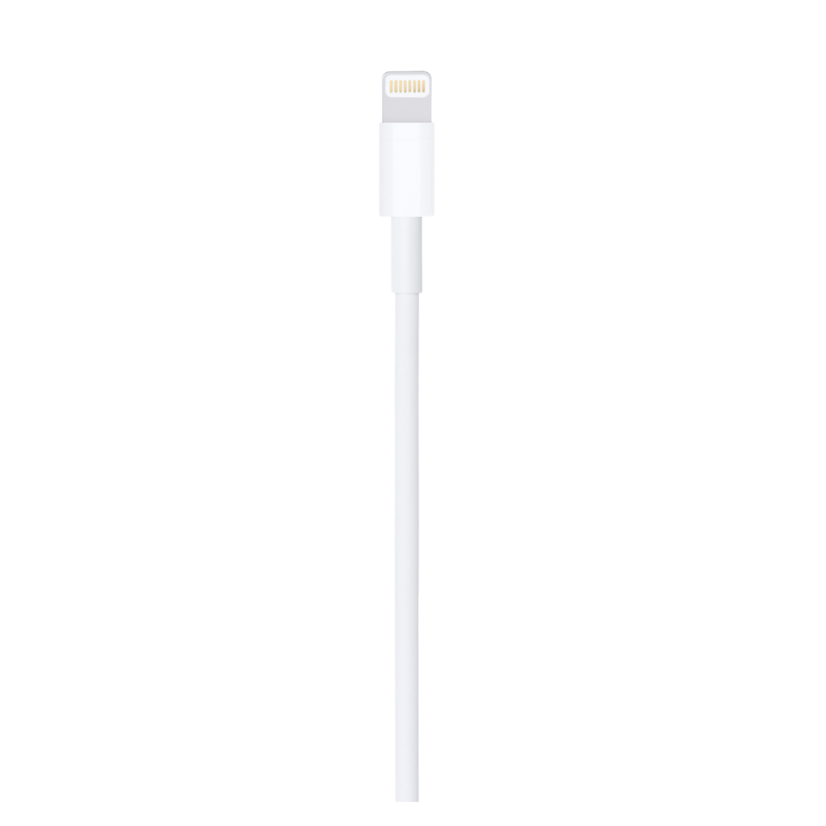 Câble Apple Original - USB-A vers Lightning Blanc